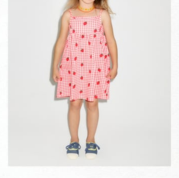 Zara Other - Zara strawberry dress